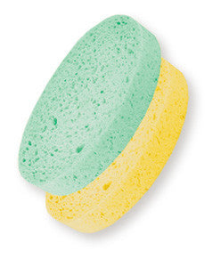 Oval Body Sponge